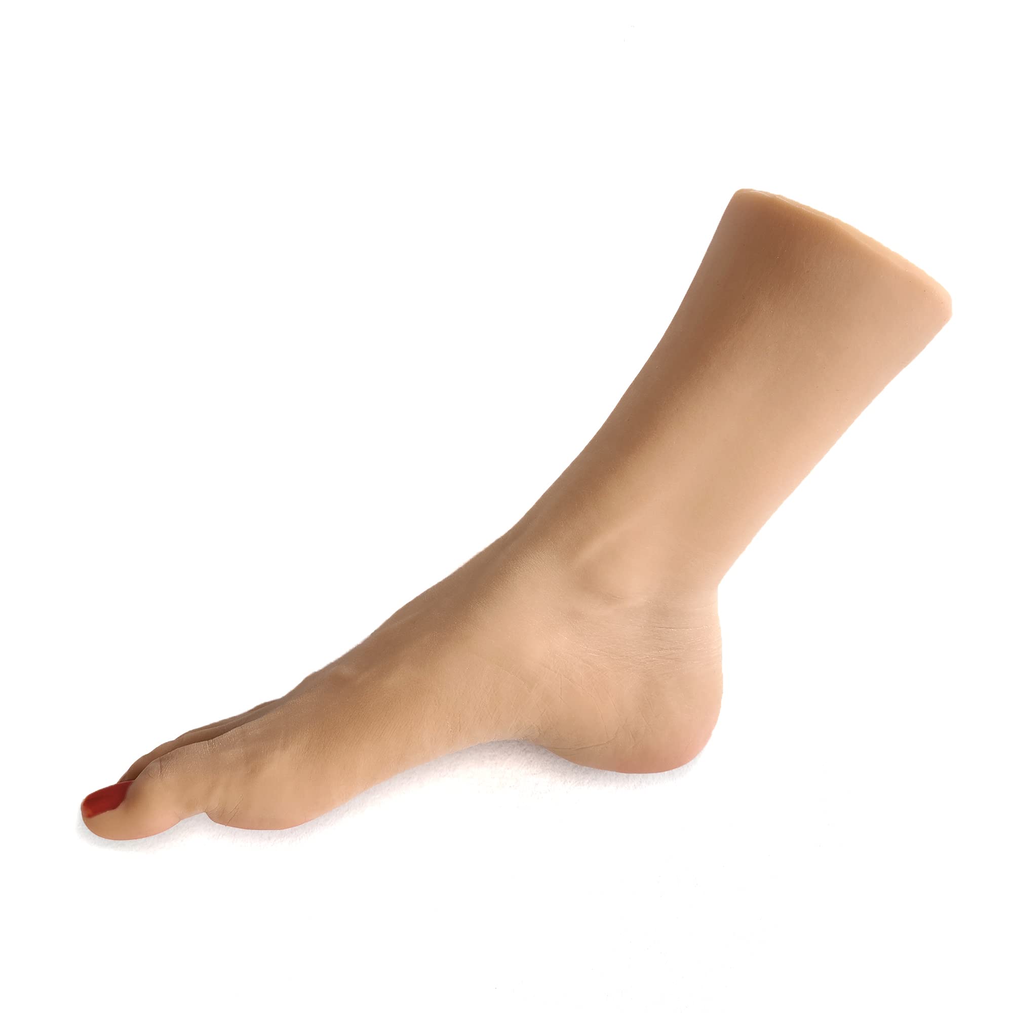 Amazon | 足 模型 シリコン リアル 足 マネキン 女性 右足